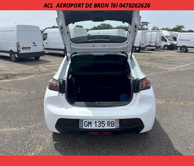Peugeot Peugeot 208 SOCIETE HDI 100
