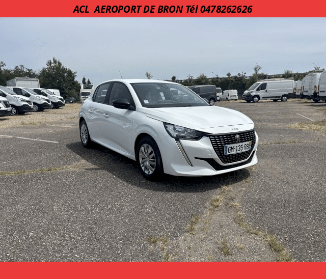 Peugeot Peugeot 208 SOCIETE HDI 100