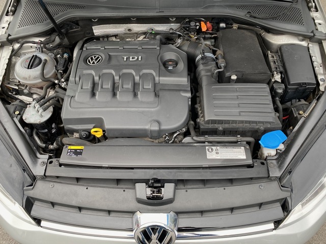 Volkswagen Volkswagen Golf VII 2.0 TDI 150ch BlueMotion Technology FAP Carat DSG6 5p