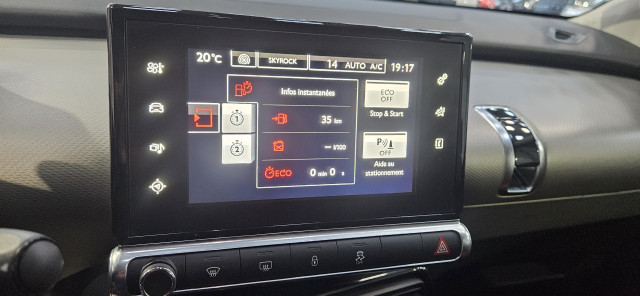Citroën Citroën C4 Cactus  BlueHDi 100 Shine S&S ETG6