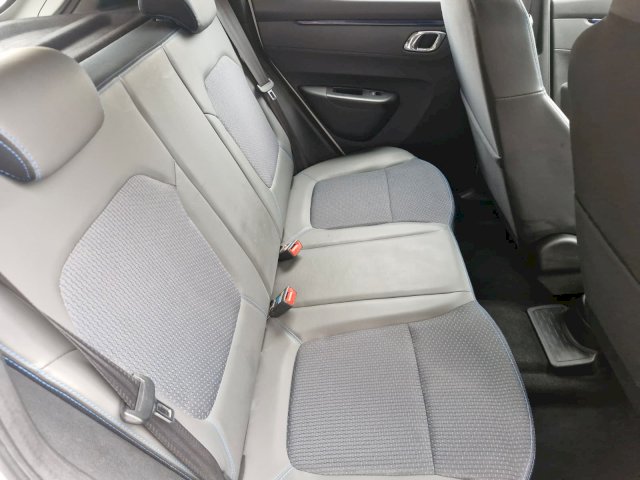 Dacia Dacia Spring I (BBG) Confort - Achat Intégral